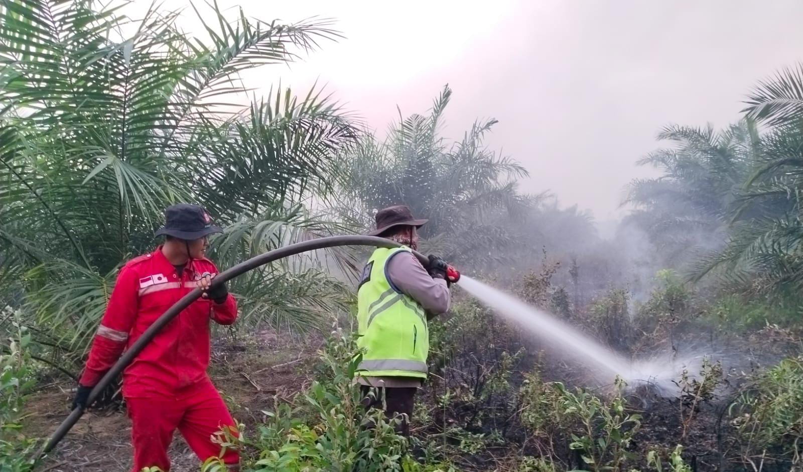 Menembus Gambut, Menjaga Api Tak Menjadi Bencana: Kisah Aiptu Afrizal Mengawal Muara Medak