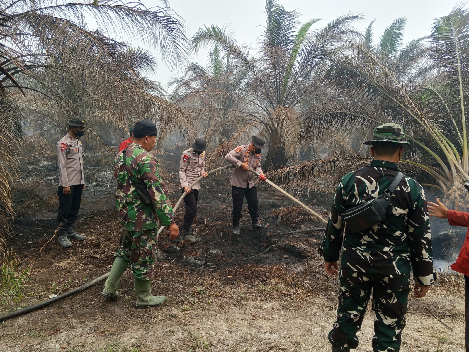 Sinergi TNI-Polri dan Manggala Agni Padamkan serta Dinginkan Karhutla di Muara Medak