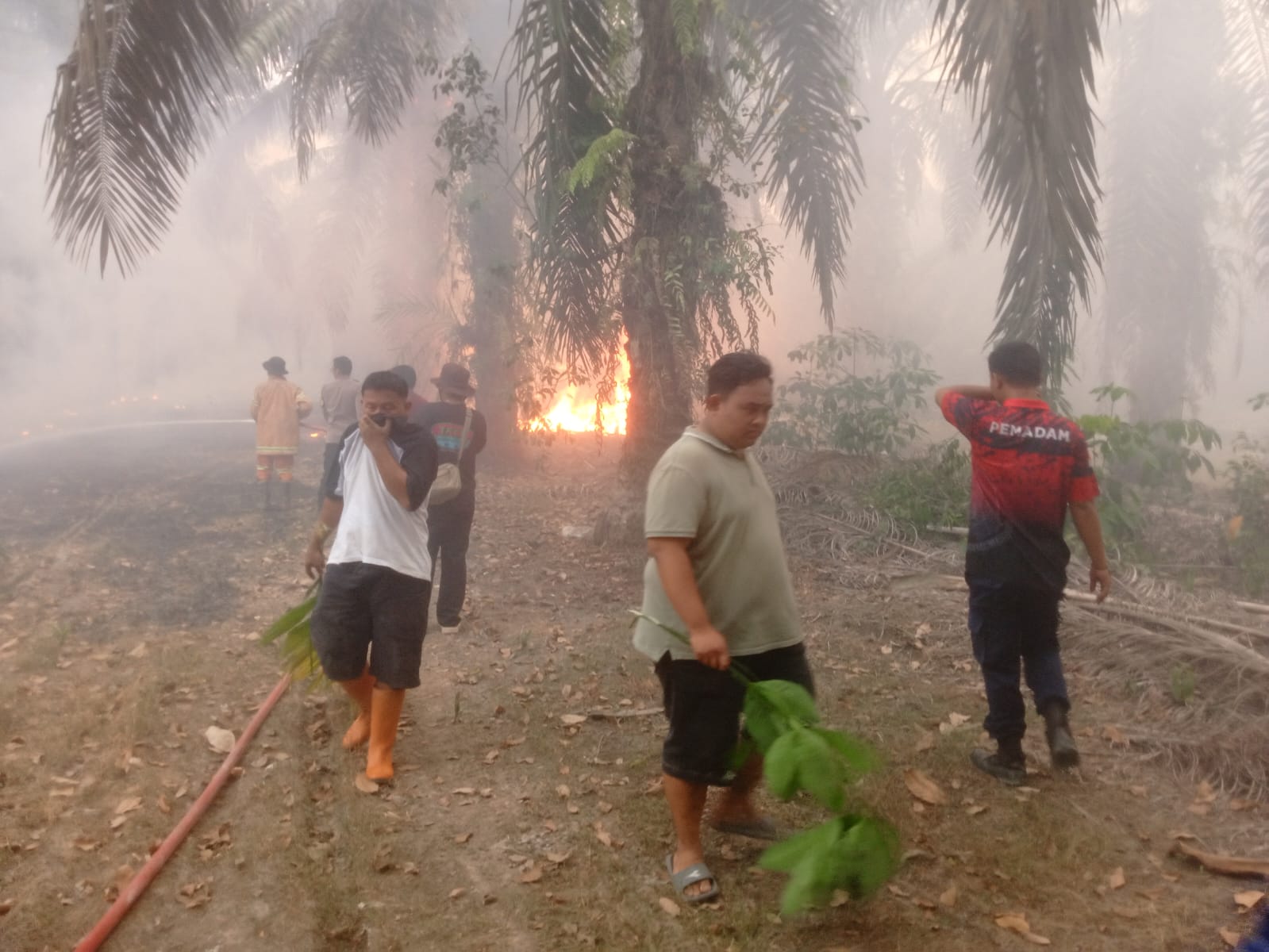 Usai Bupati Nonton Bidar dan Tinggalkan Bayung Lencir, Kebakaran Lahan Terjadi di Belakang Koramil